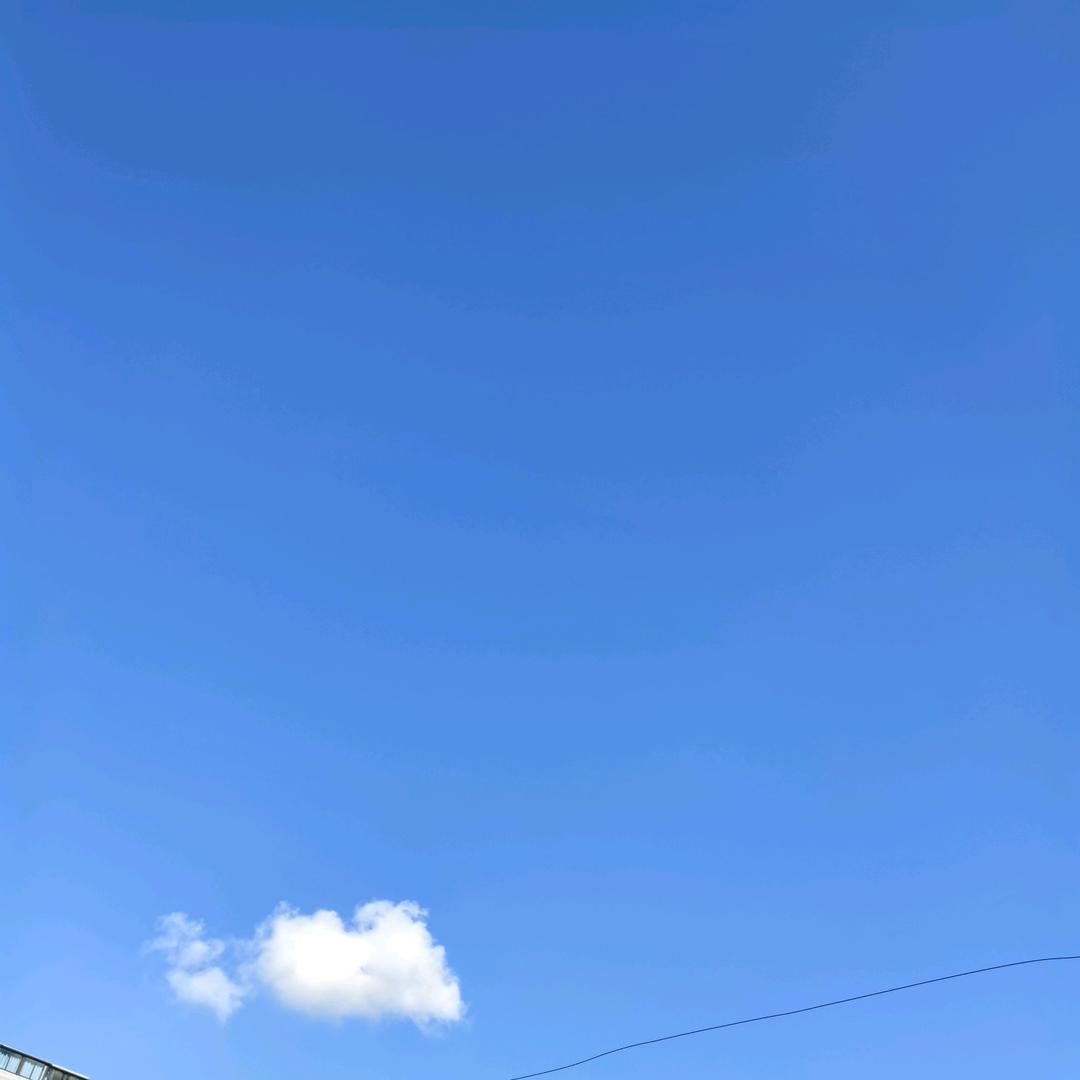 分享生活（张潇）