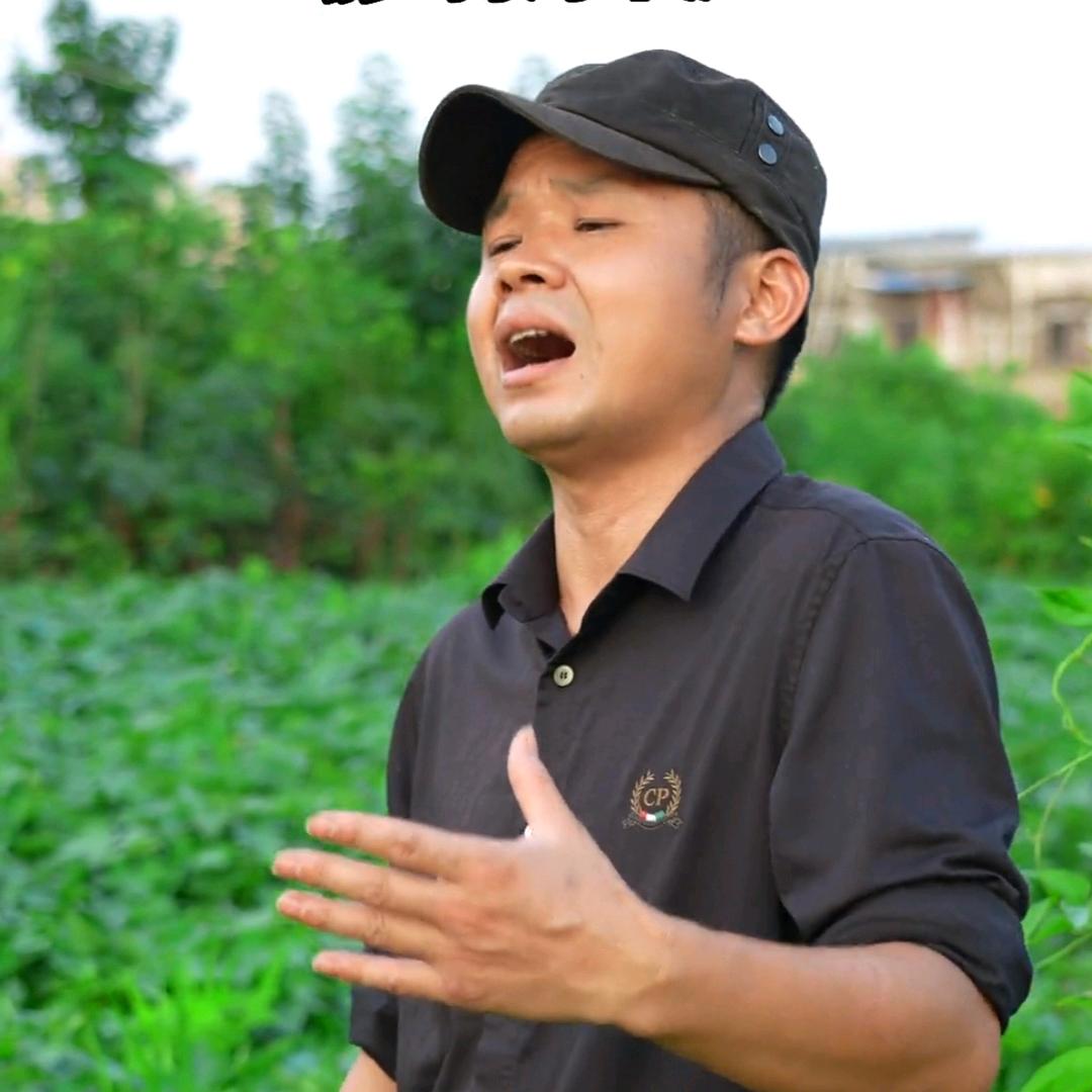 合肥分郎