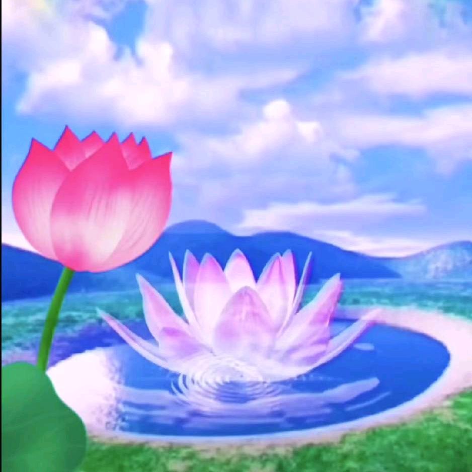 道~💓嗣清💓