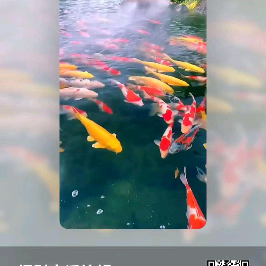 一生只爱