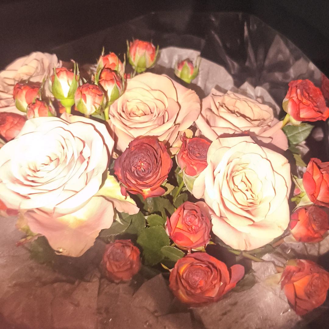 无与伦比的悦剑