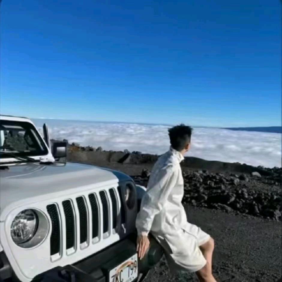 蛋蛋#