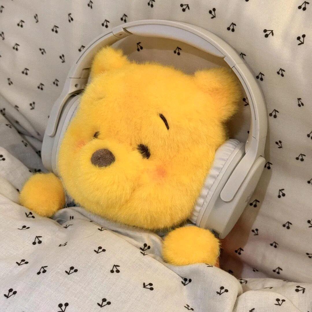 拾雾✧