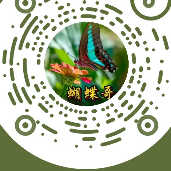 【胡蝶】