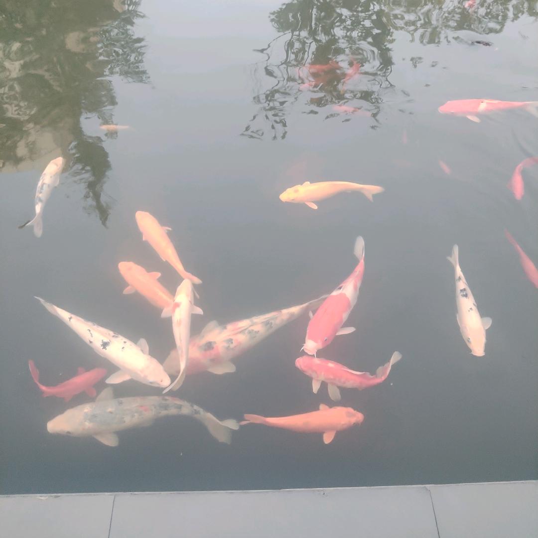 邻水大佛寺居家养生
