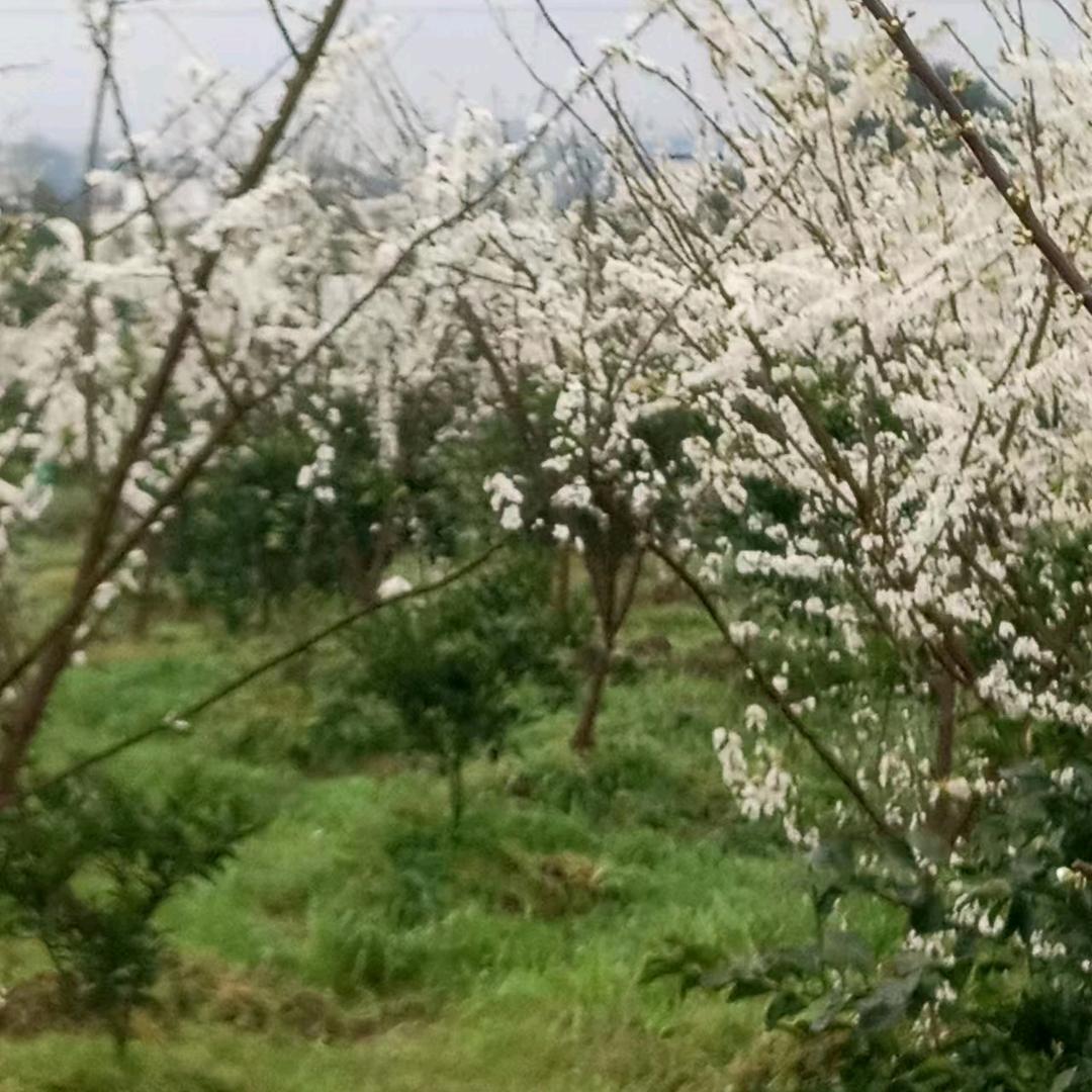 等你回来