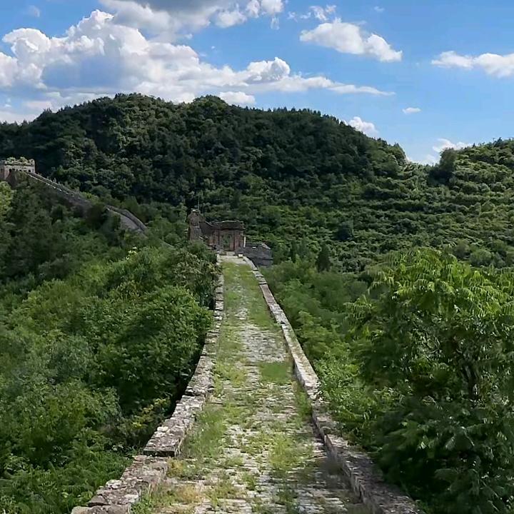 不倒翁