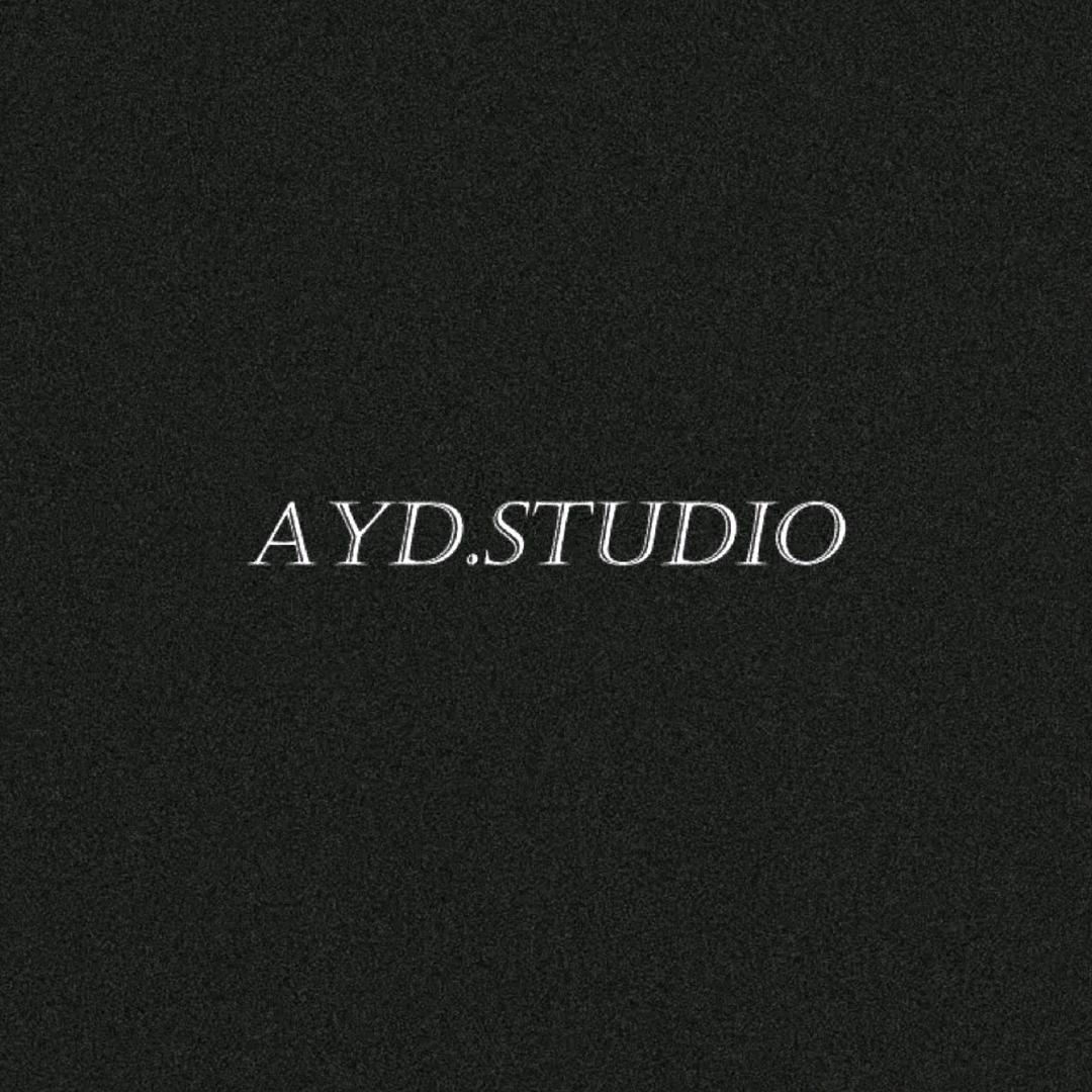新疆一姐AYD实体店