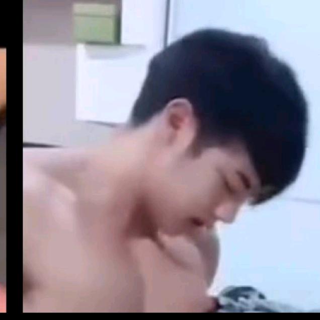 毛毛虫变大蝴蝶