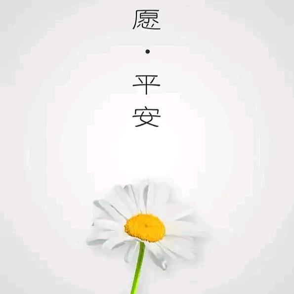用户6486540663075