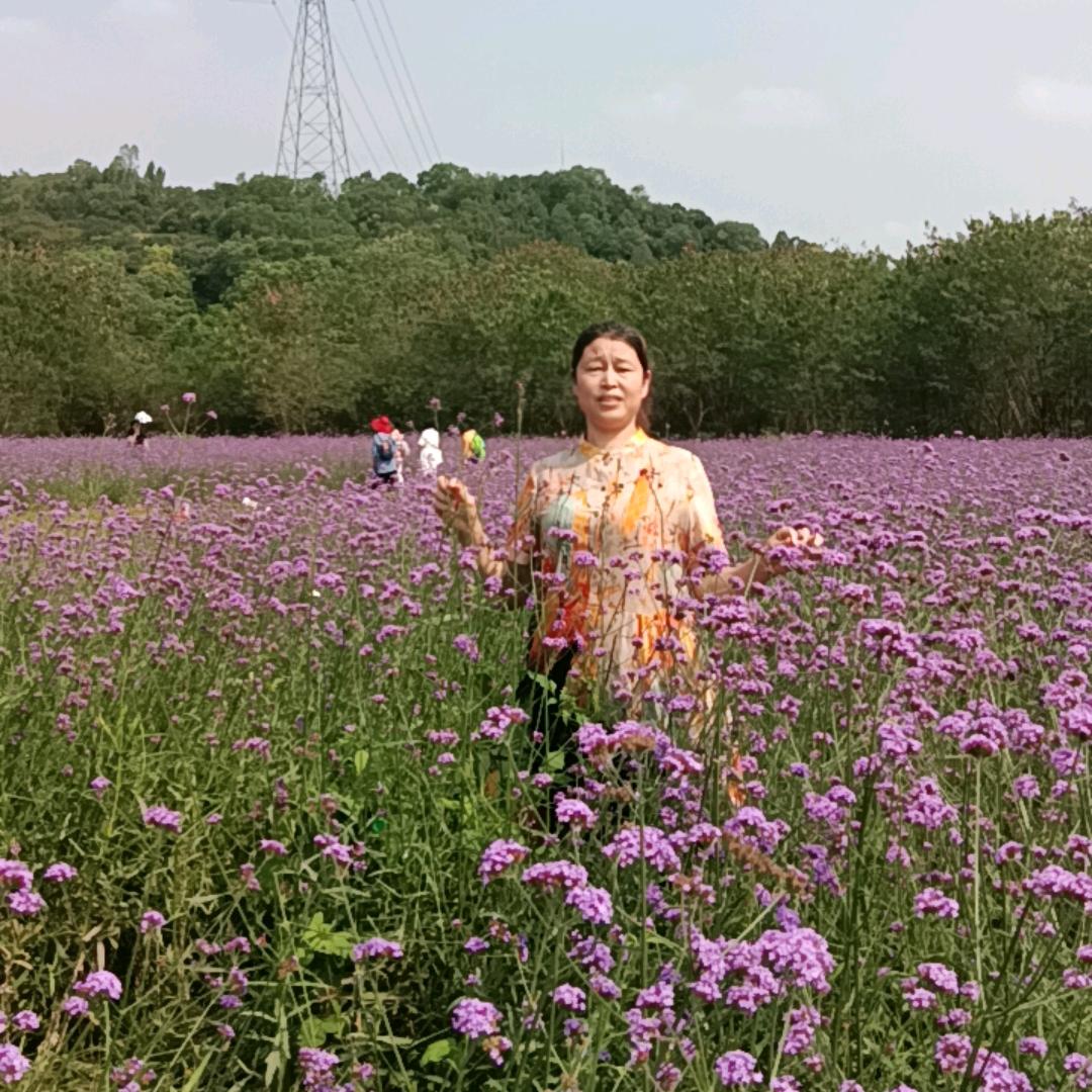 王三妹