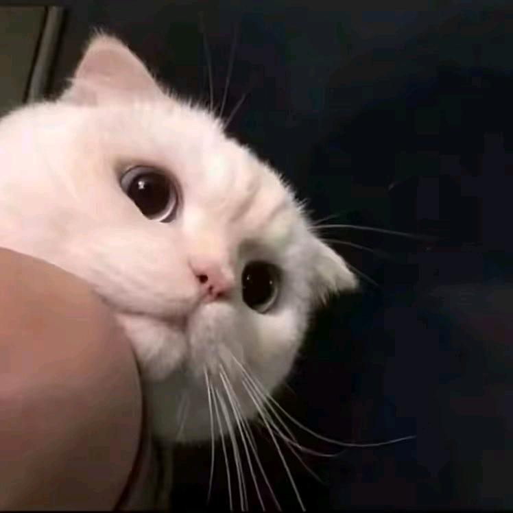 ￴