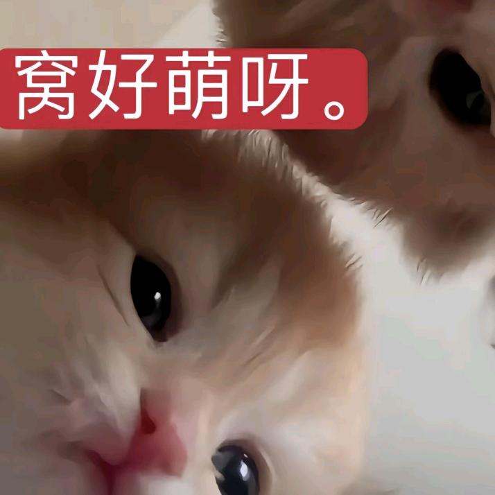 早起😇