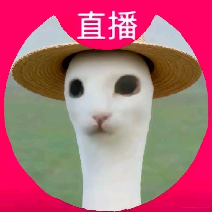 半夜强吻母蟑螂
