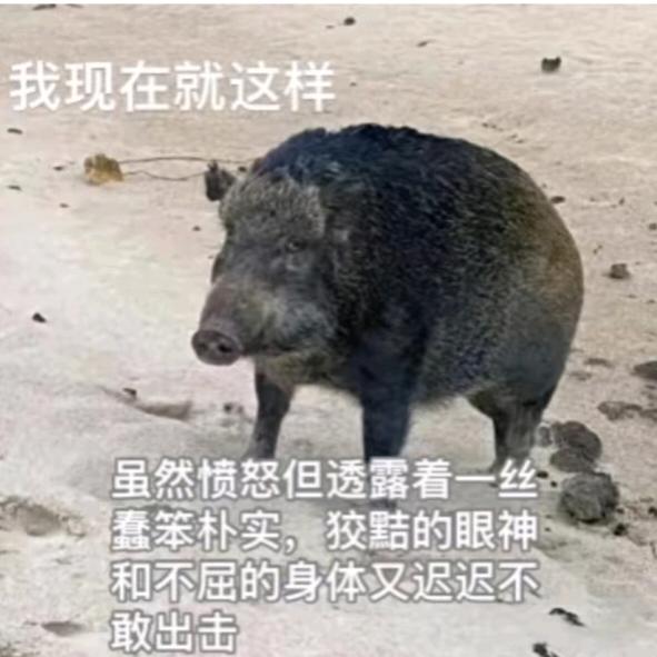 你也觉得不太对劲儿