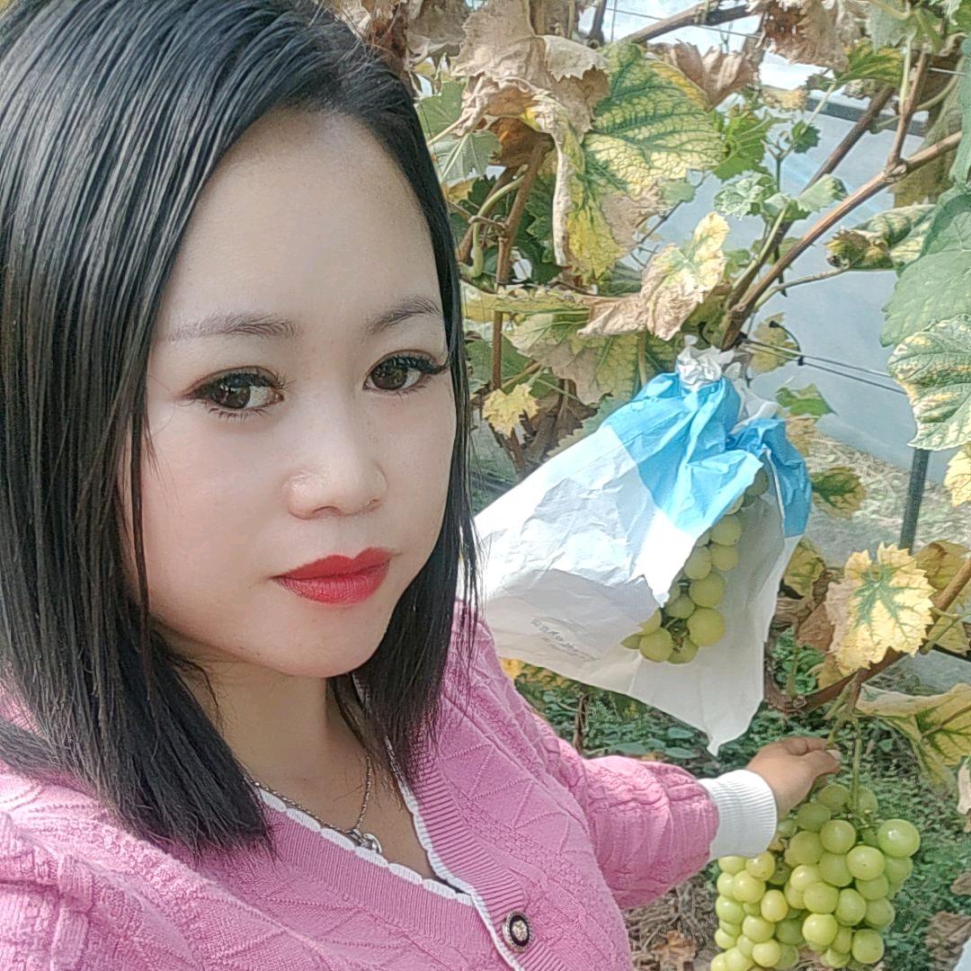 姐的世界再无你