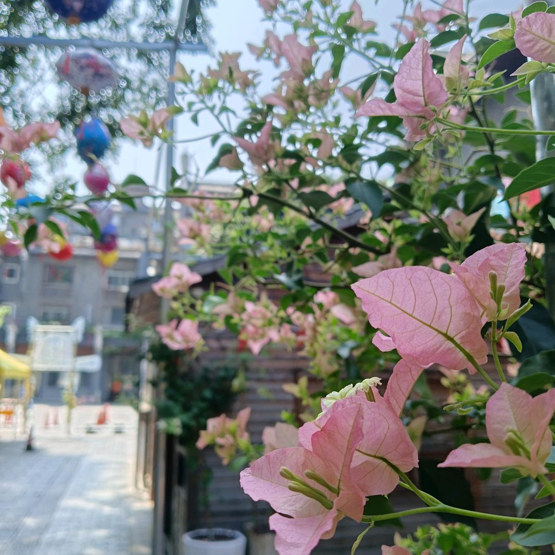 秦不知何起٩(￥A￥)۶