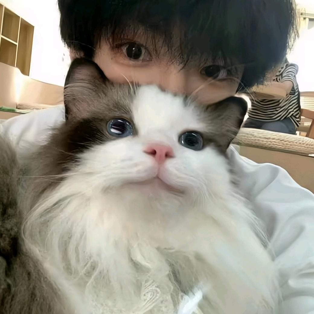 萧艺泽