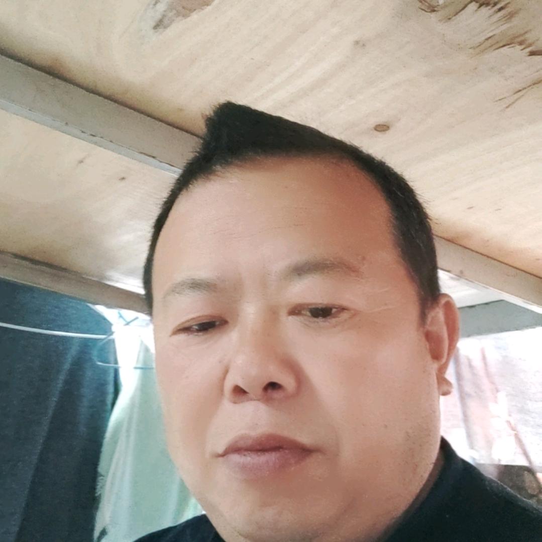 向哥
