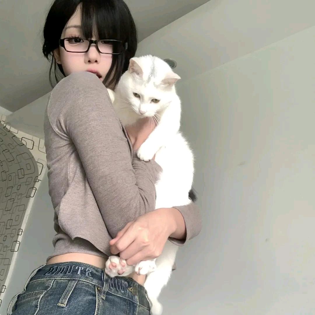 小猪咪只需要睡觉就好了