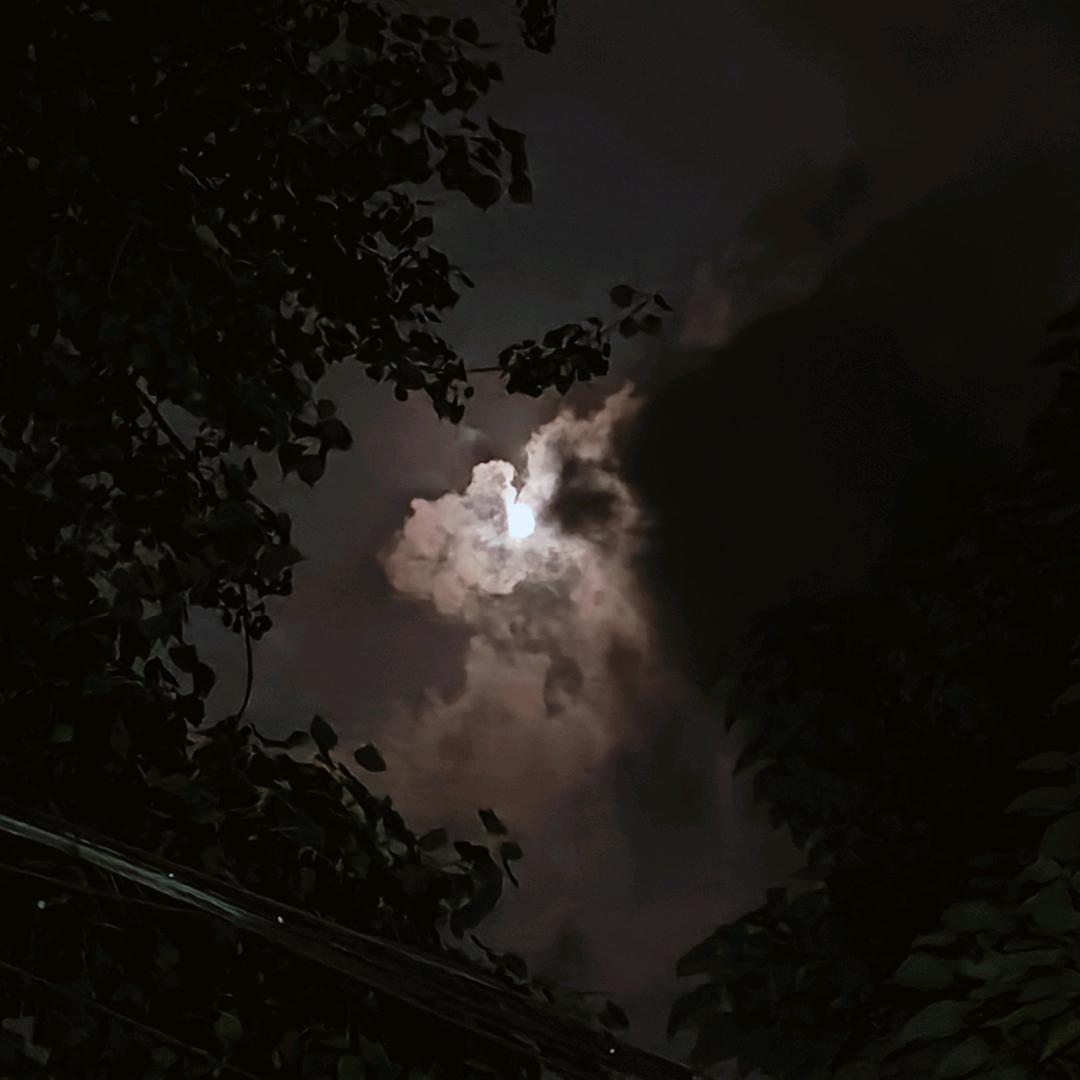 张XX