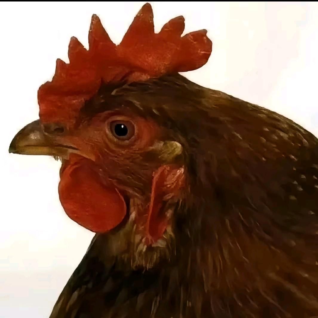 出了名的好男人