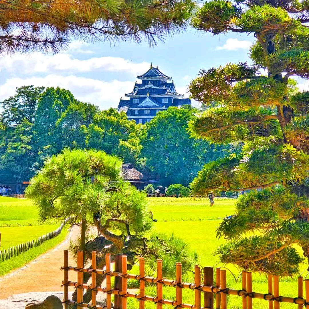 许妈姚爸大本营