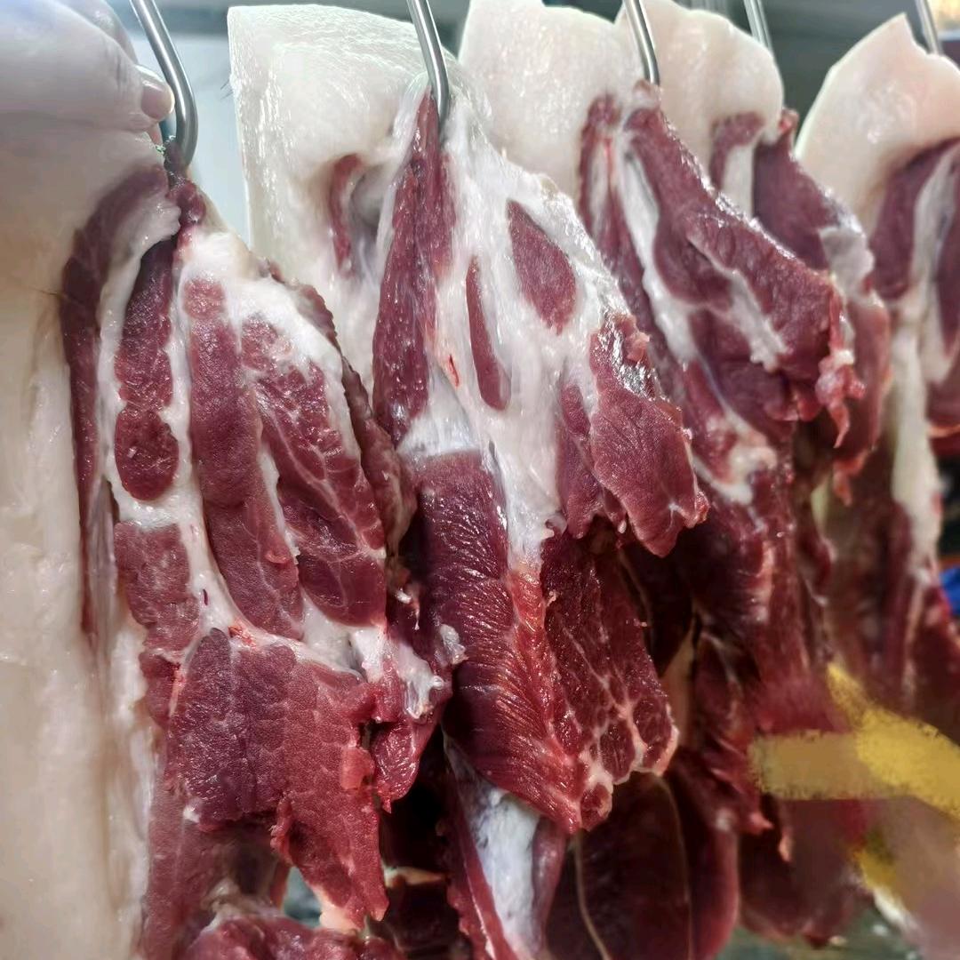 侯小春 高山生态土黑猪