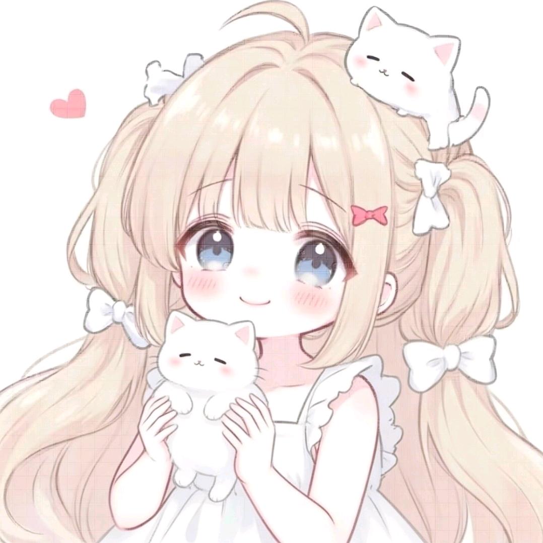 🎀-kitty（闭关）