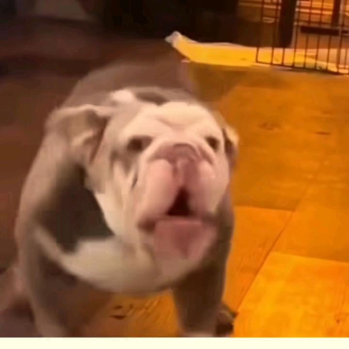 㐓㤅