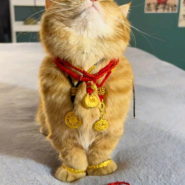 来自80后的治愈