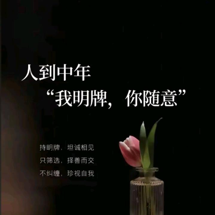 冷若冰霜