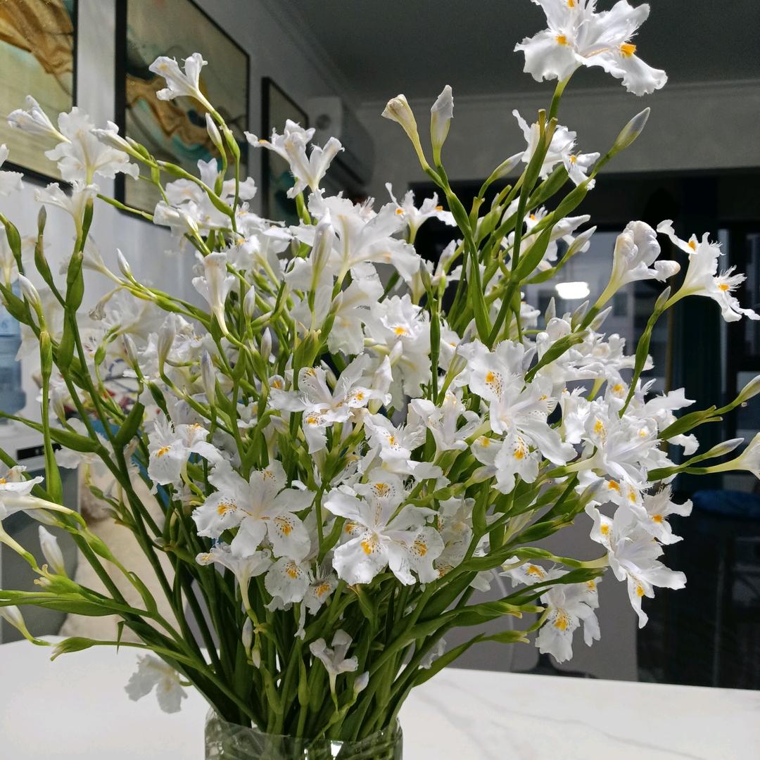 芳芳