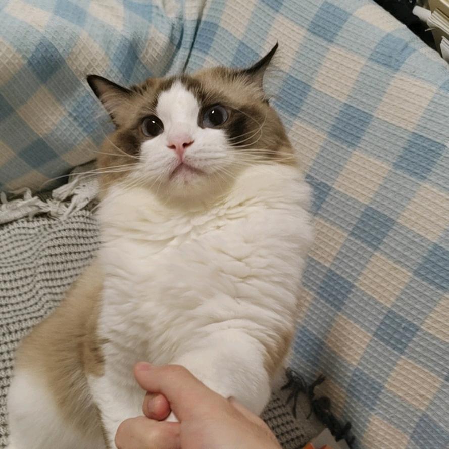 浪潮派精品臻选阁