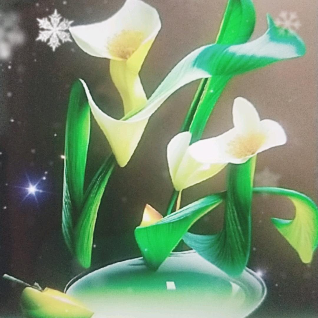 ༺༊এ程👄晨এ༊༻