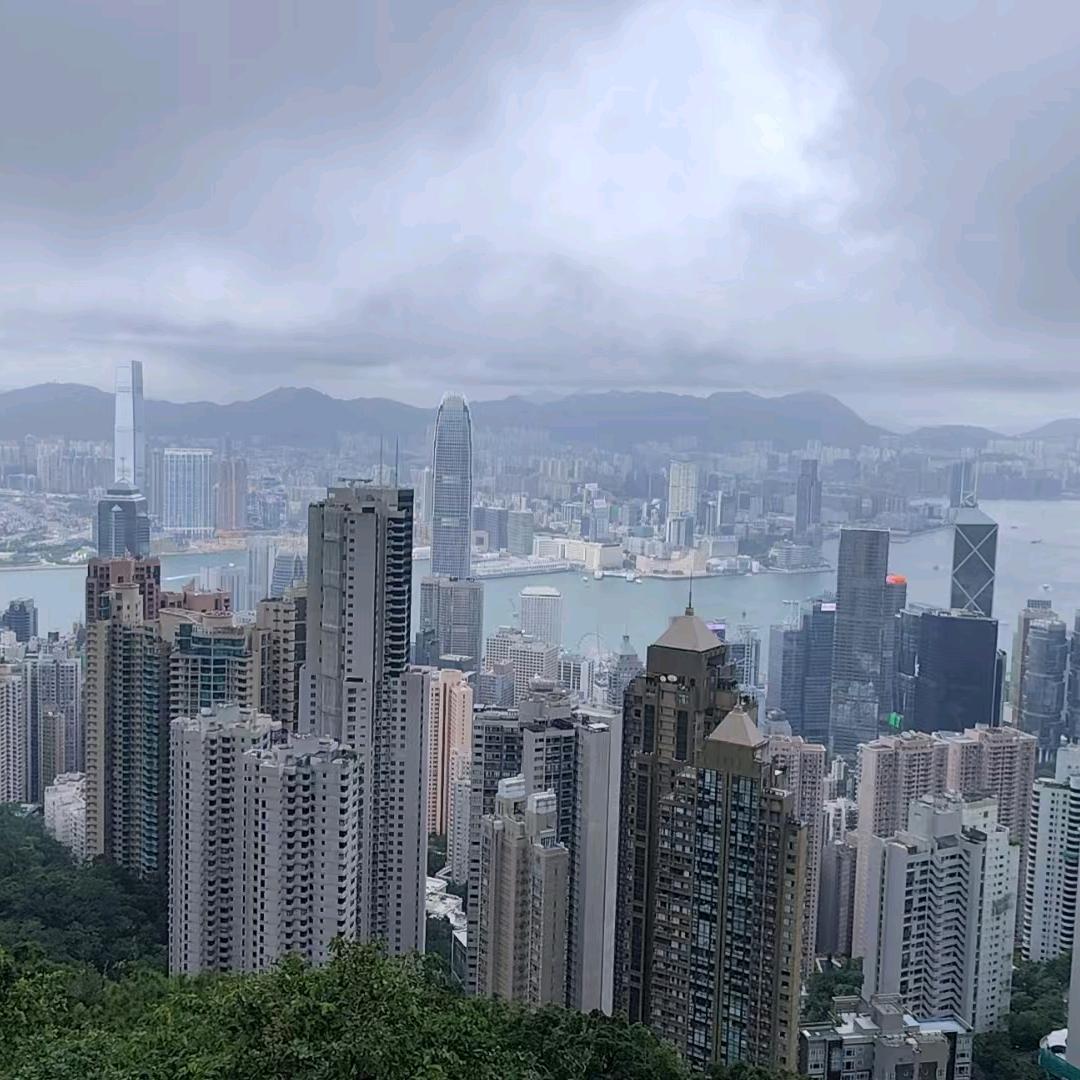伟航集团