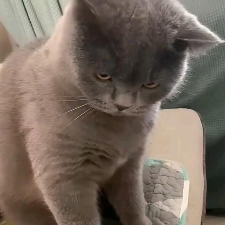 错认❤️进中花