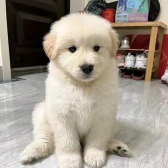 听海的往事