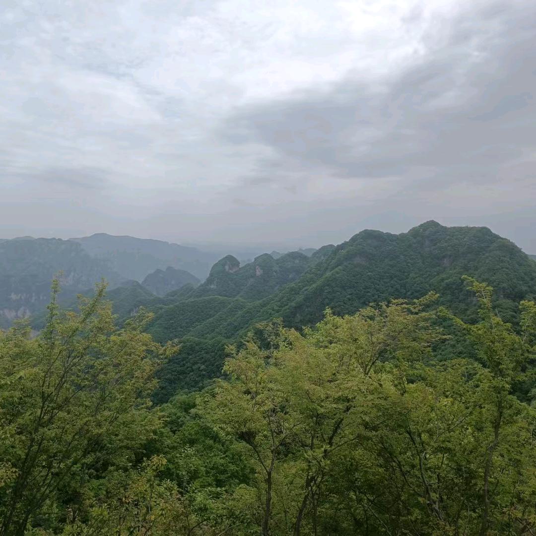 心中有个梦