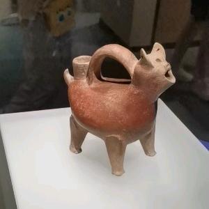 知行读书头像