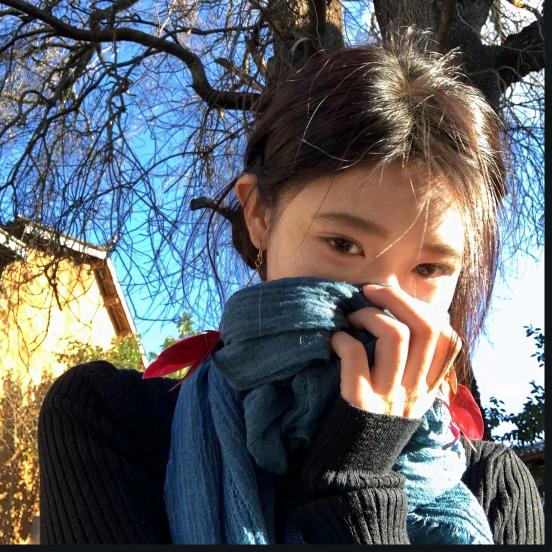 蓝桉长在洱海边