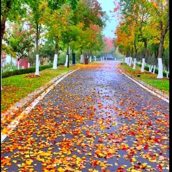 东dong好想你🌹🌹🌹🌹🌹