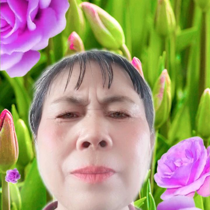 平姐故乡