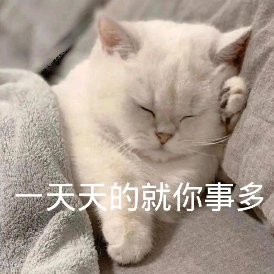 ʚ纳尔大大ɞ