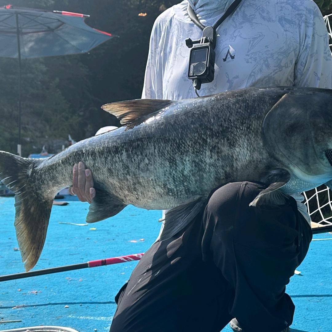 红旗爱钓鱼🎣