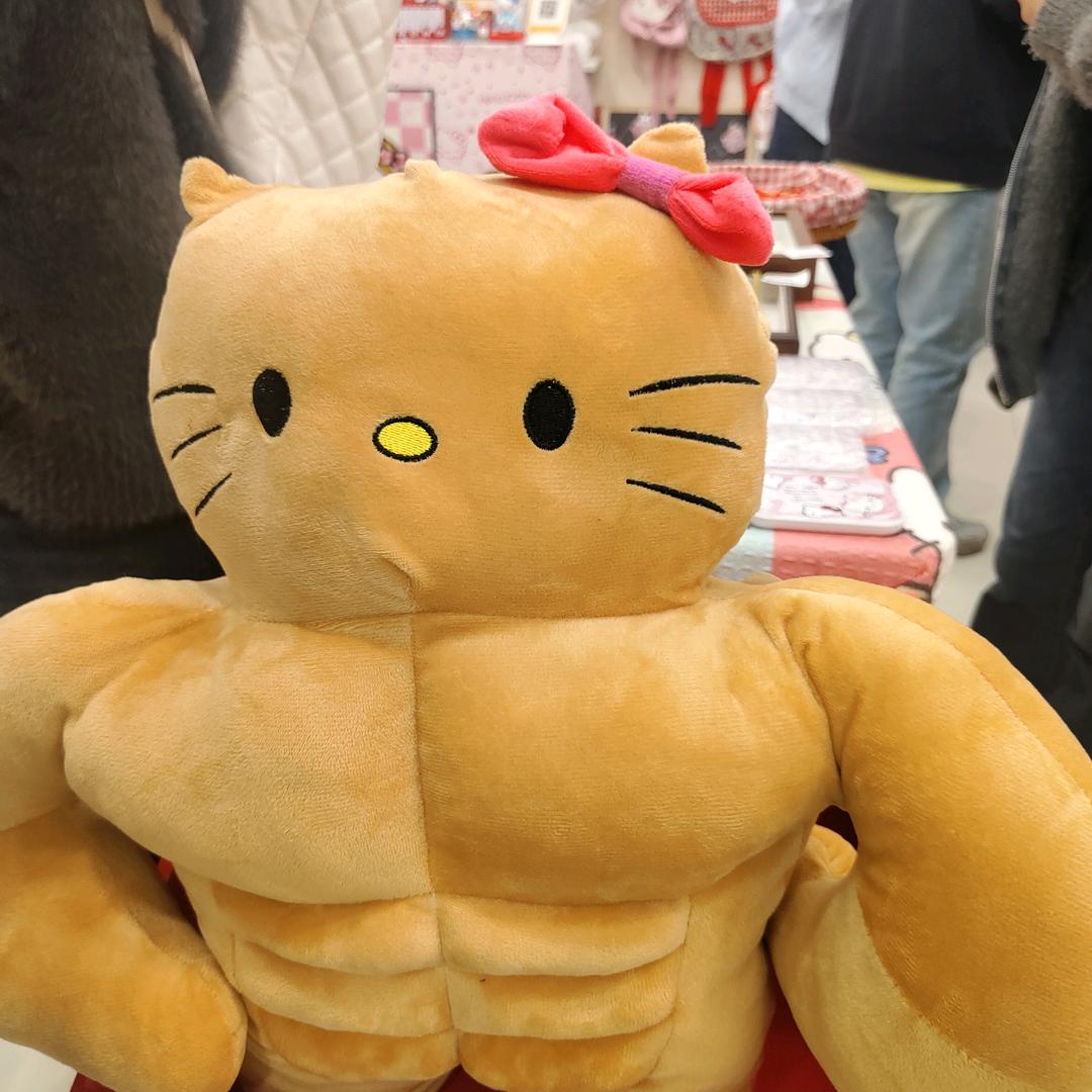 不吃鱼摆摆的我🐟