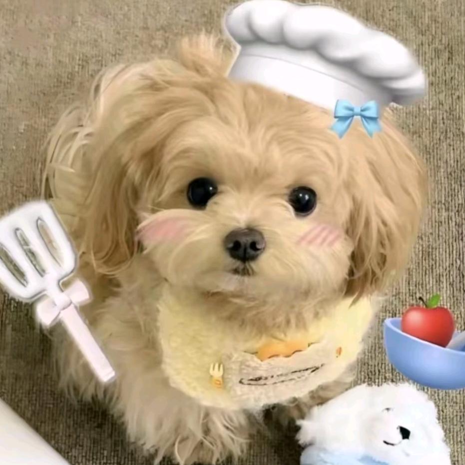 nini