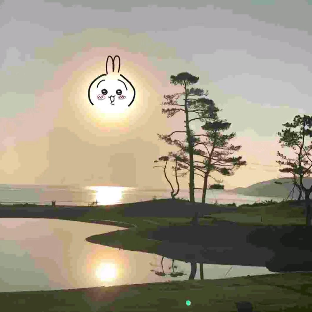 淋淋