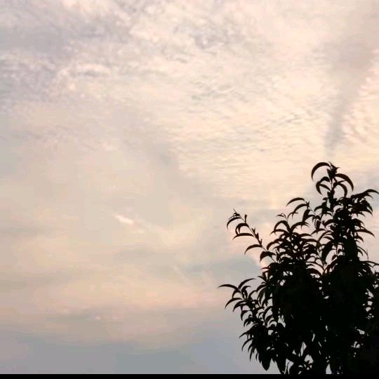 用户5304821907137