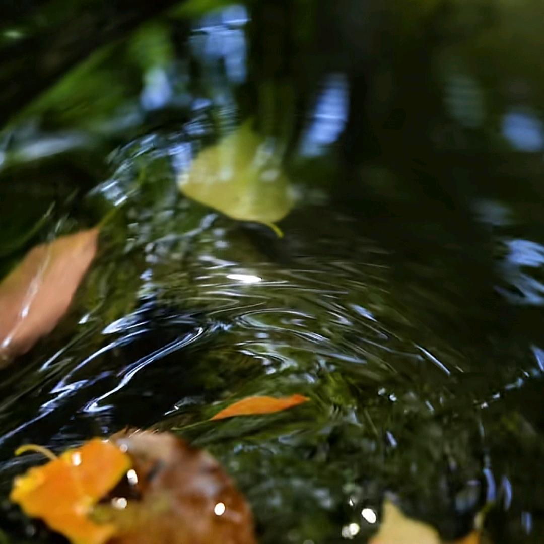 古穆子